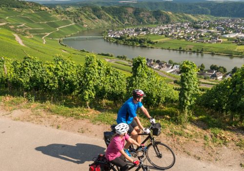 Mosel-Radweg.jpg